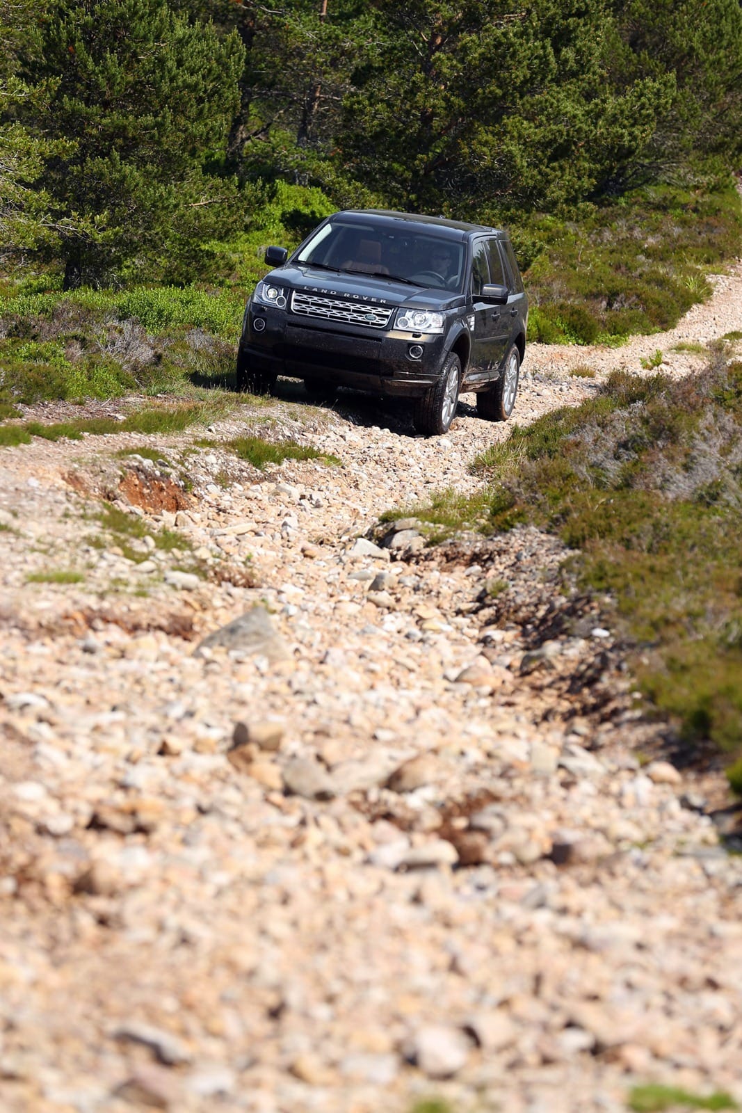 Land Rover Freelander 2 facelift - Image 29